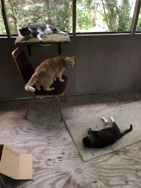 Photo Aug 28 2 46 04 PM