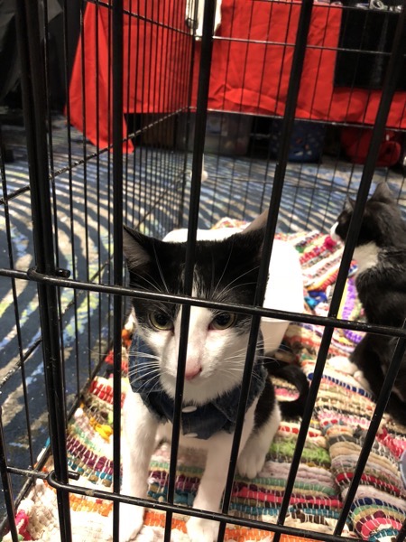 IMG_3677.JPG IMG 3677