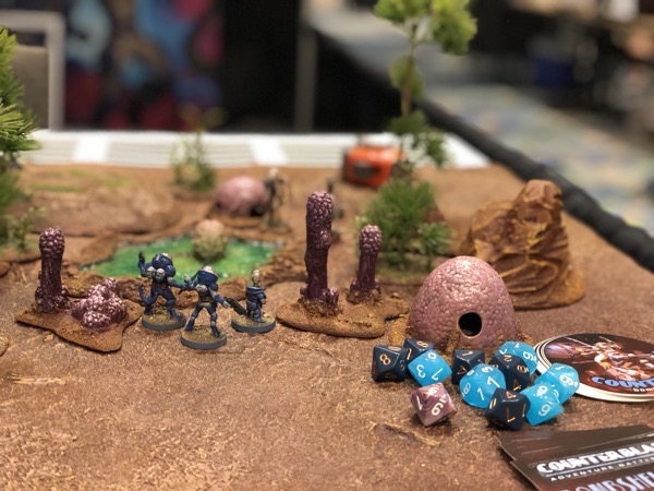 IMG_3679.jpg IMG 3679