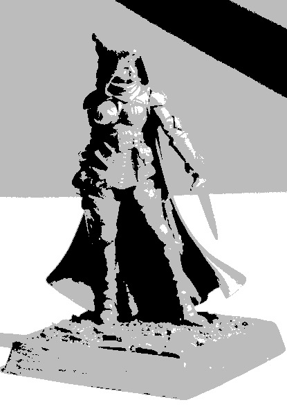 Reference photo of Tara the Silent with three value Notan applied by Notanizer app