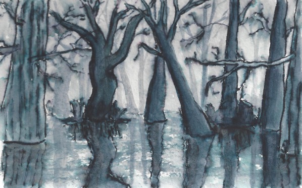 Oct12 foggy bog edit