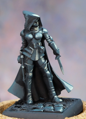 Photo of Tara the Silent with Notan value mapping