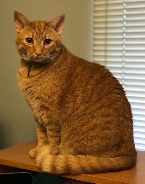 Korben looking innocent. He's not.