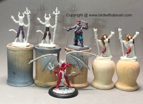 Succ skin tests 1000 wm