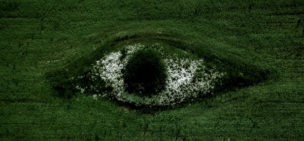 Egor vikhrev TJ0KagkqA2Y unsplash crop