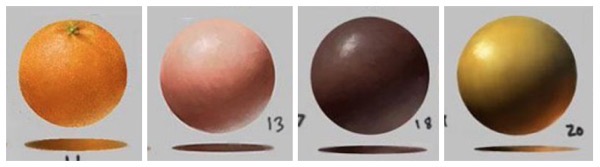 Hardesty skin textures