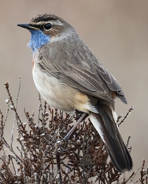 Hans veth XBHZSlEA0lo unsplash