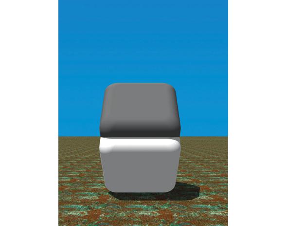 Dale purves value illusion