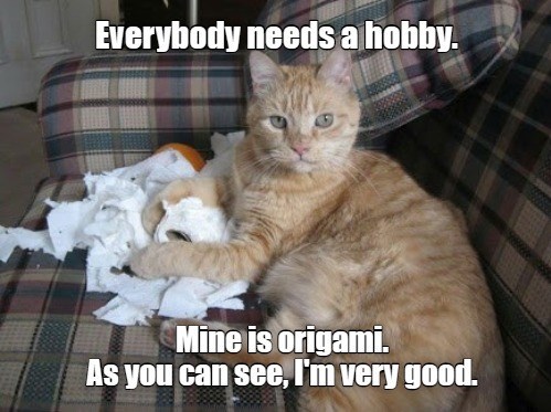 Everybody needs a hobby