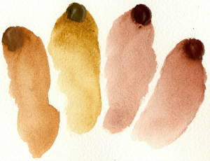 Pbr7 Siennas blog 300