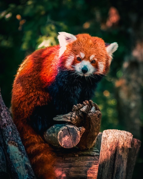 Pexels ali atakan acikbas  5631323