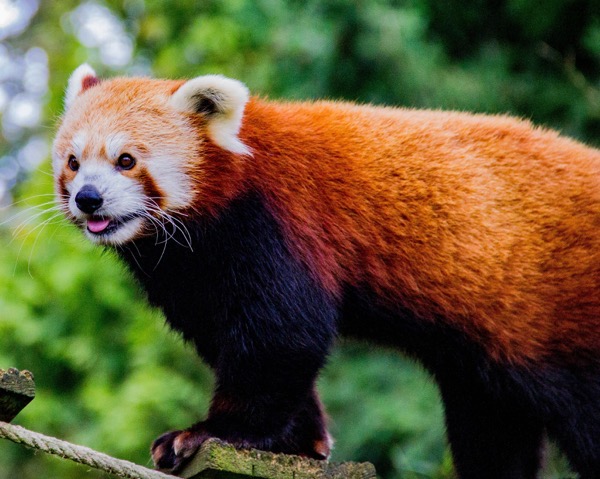 Philippe oursel moRbywG2O g unsplash edit